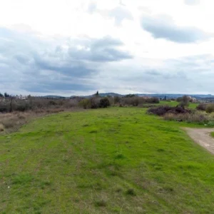 9,700m² Plot for Sale in Prodromi, Paphos District