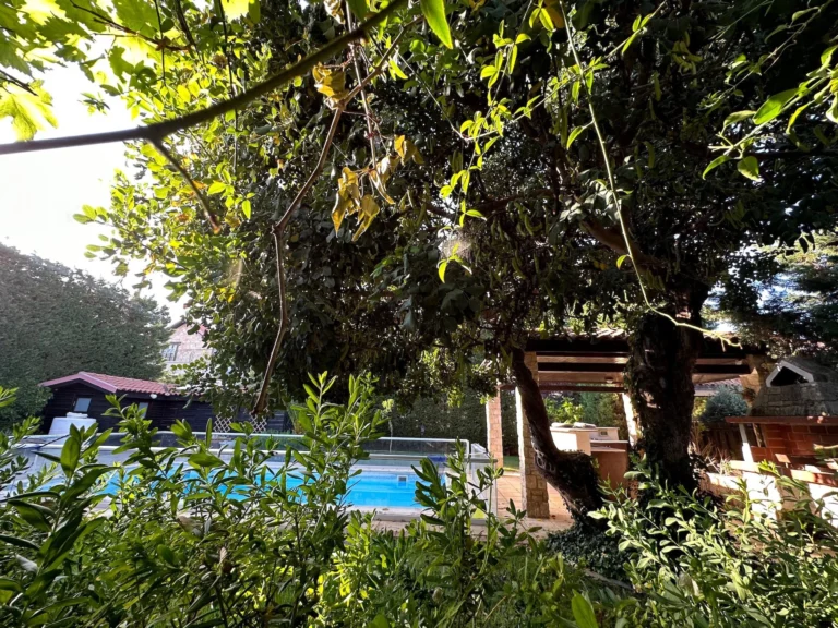 5 Bedroom House for Sale in Limassol District