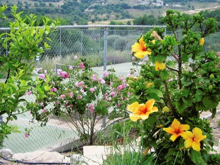 4 Bedroom House for Rent in Paphos District