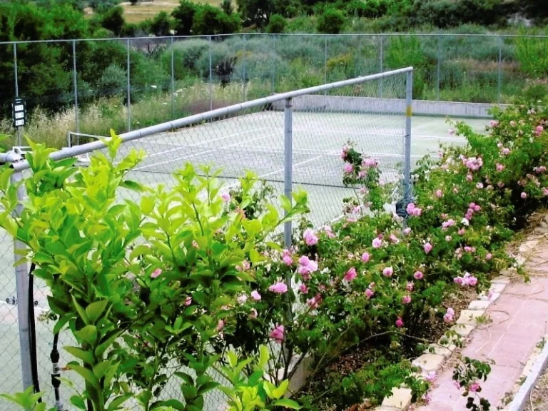 Cheap Houses and Villas for Rent Paphos