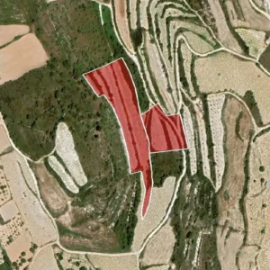 13,156m² Plot for Sale in Kathikas, Paphos District