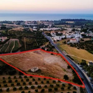 13,676m² Plot for Sale in Prodromi, Paphos District