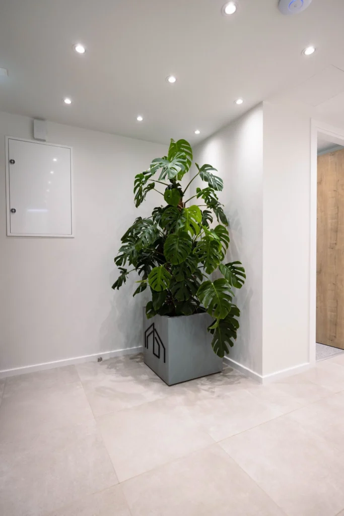 11m² Office for Rent in Limassol – Zakaki