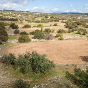 10,703m² Plot for Sale in Anogyra, Limassol District