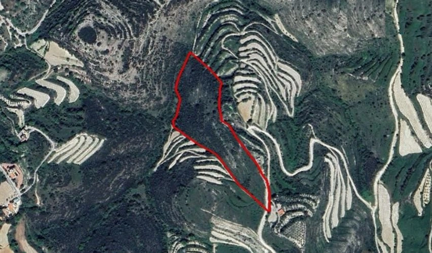 26,422m² Plot for Sale in Koili, Paphos District