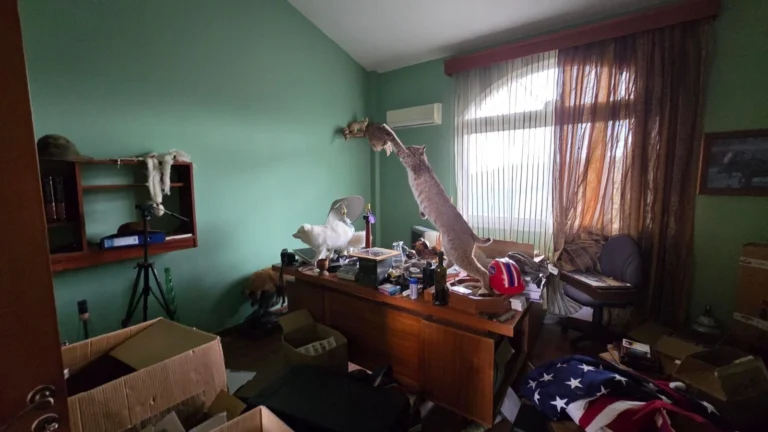 500m² House for Sale in Asgata, Limassol District