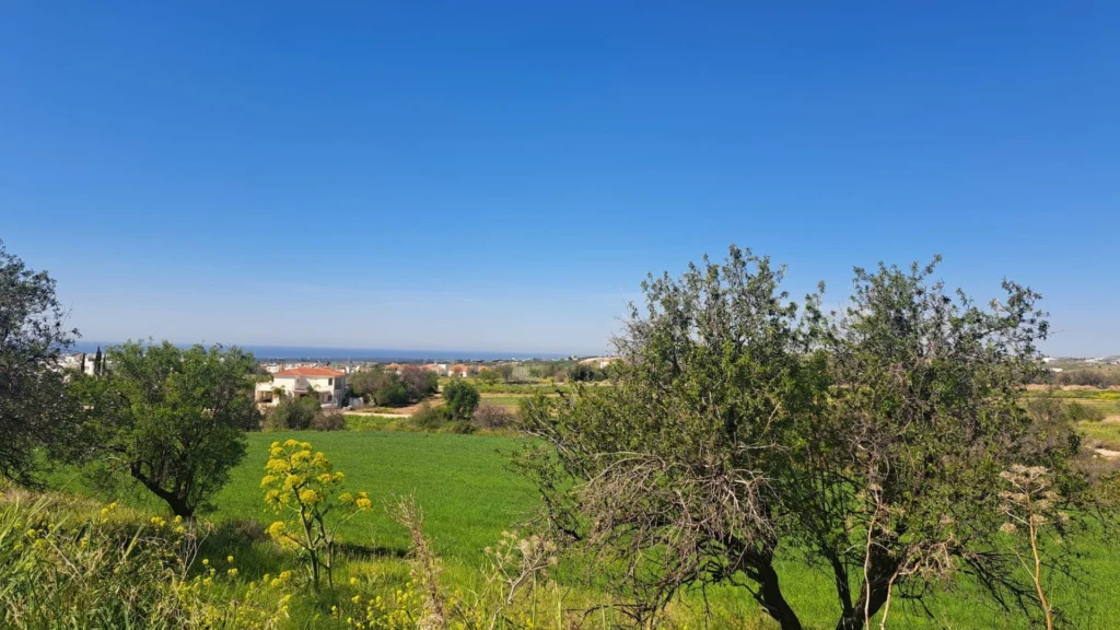 2,700m² Plot for Sale in Anarita, Paphos District