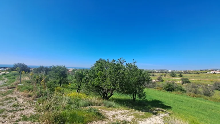 2,700m² Plot for Sale in Anarita, Paphos District