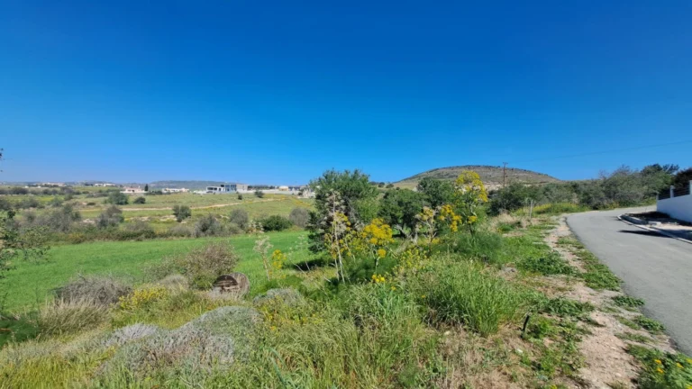 2,700m² Plot for Sale in Anarita, Paphos District