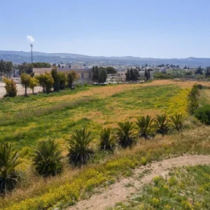 16,890m² Plot for Sale in Polis Chrysochous, Paphos District
