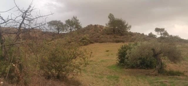 2,342m² Plot for Sale in Kato Polemidia, Limassol District