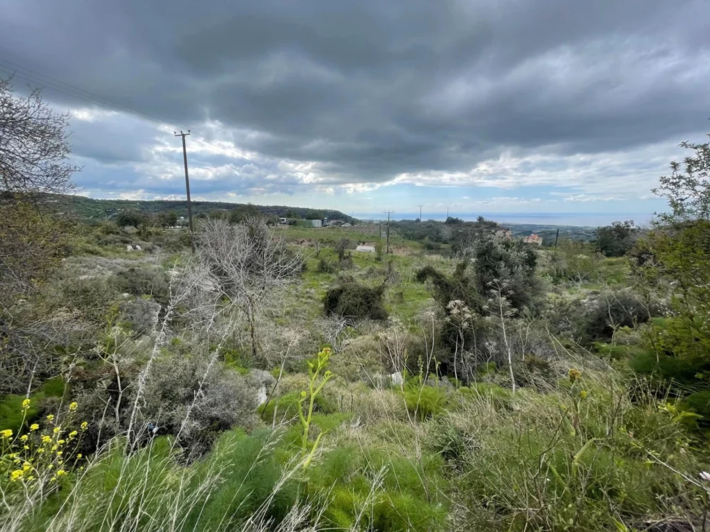 3,460m² Plot for Sale in Marathounta, Paphos District