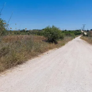 37,711m² Plot for Sale in Pano Arodes, Paphos District