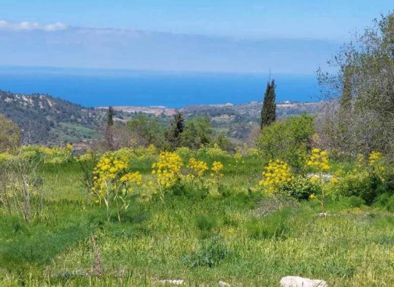 23,000m² Plot for Sale in Polis Chrysochous, Paphos District