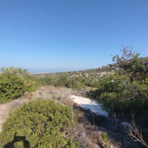 6,987m² Plot for Sale in Tala, Paphos District