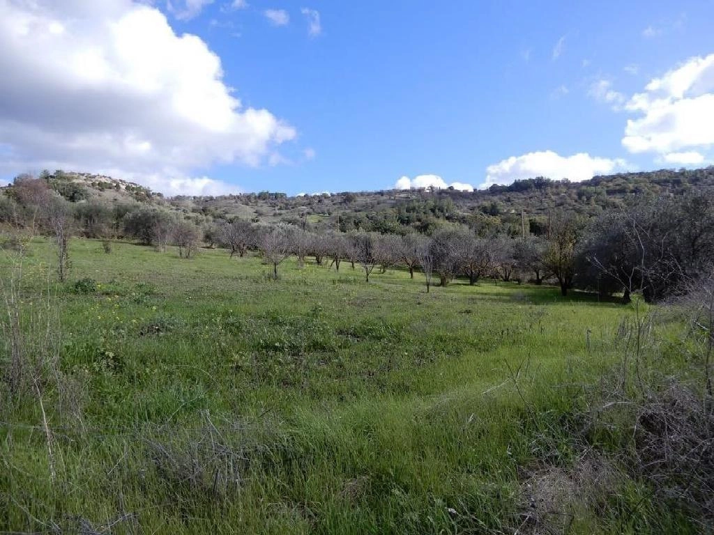 28,763m² Plot for Sale in Meladeia, Paphos District