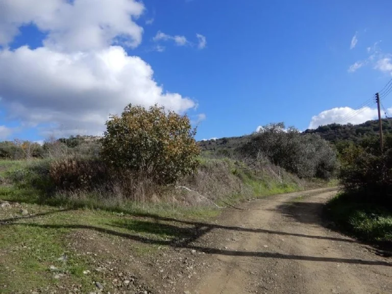 28,763m² Plot for Sale in Meladeia, Paphos District