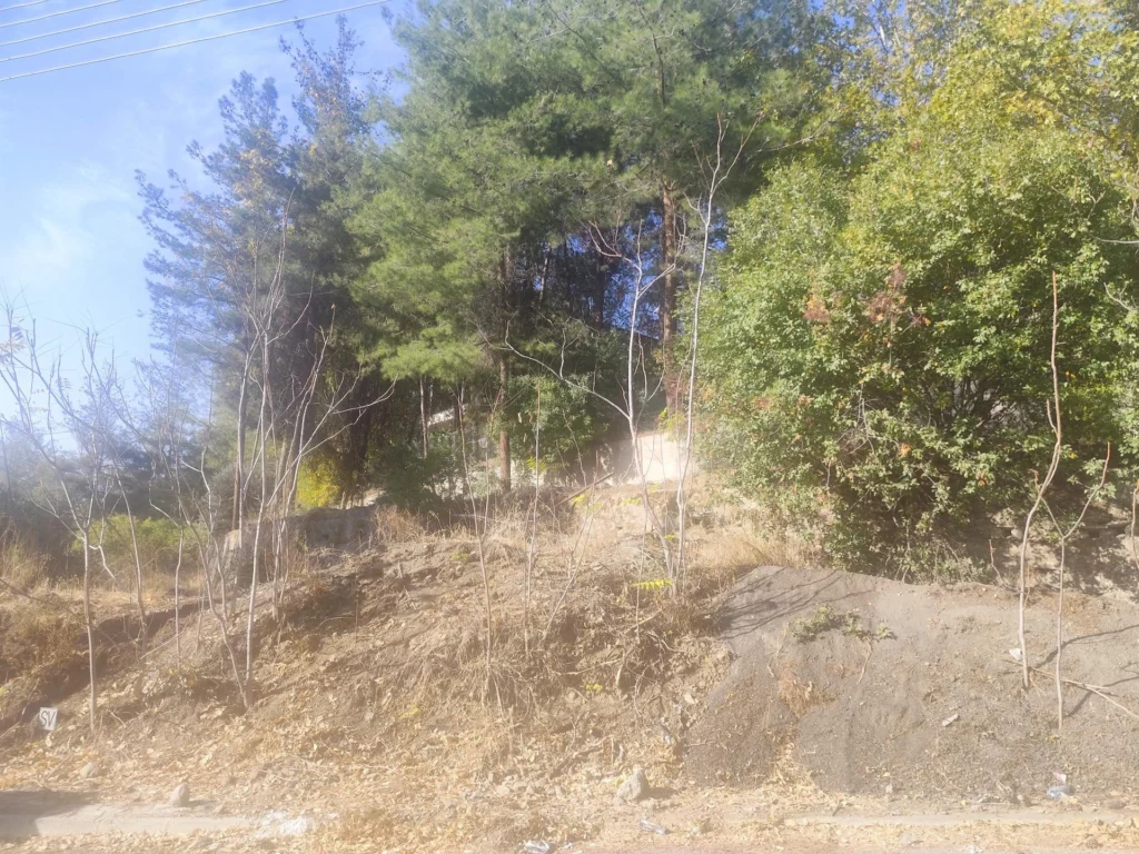 595m² Plot for Sale in Pera Pedi, Limassol District