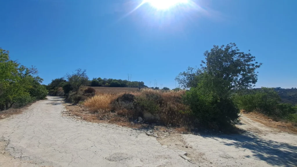 5,017m² Plot for Sale in Koili, Paphos District