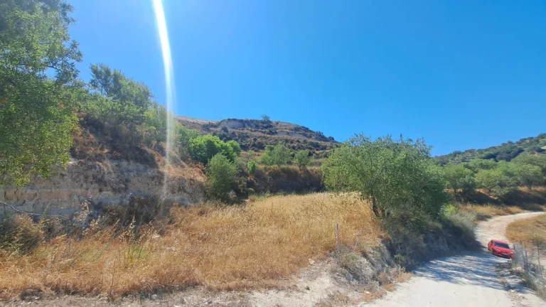 13,241m² Plot for Sale in Tsada, Paphos District