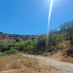 13,241m² Plot for Sale in Tsada, Paphos District