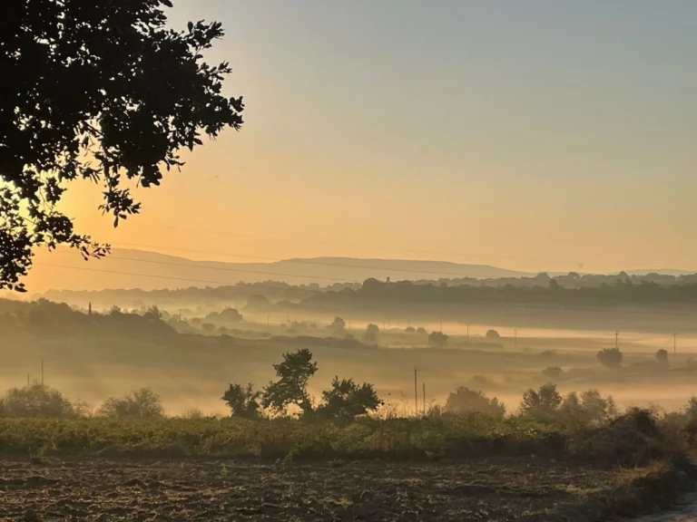 3 Bedroom House for Sale in Paphos District