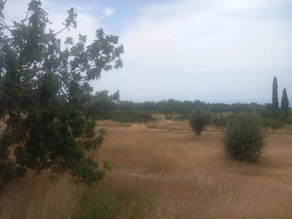 1,778m² Plot for Sale in Paphos District