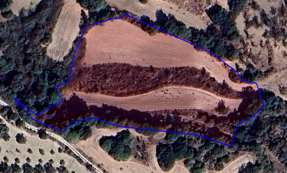 10,703m² Plot for Sale in Simou, Paphos District