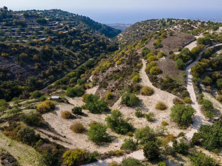 8,027m² Plot for Sale in Koili, Paphos District