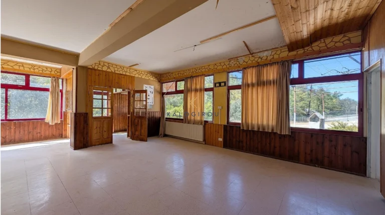 709m² Commercial for Sale in Kakopetria, Nicosia District