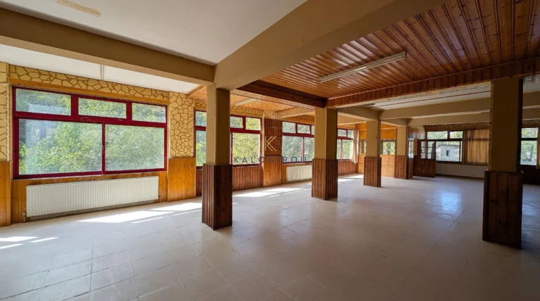 709m² Commercial for Sale in Kakopetria, Nicosia District