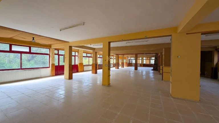 709m² Commercial for Sale in Kakopetria, Nicosia District