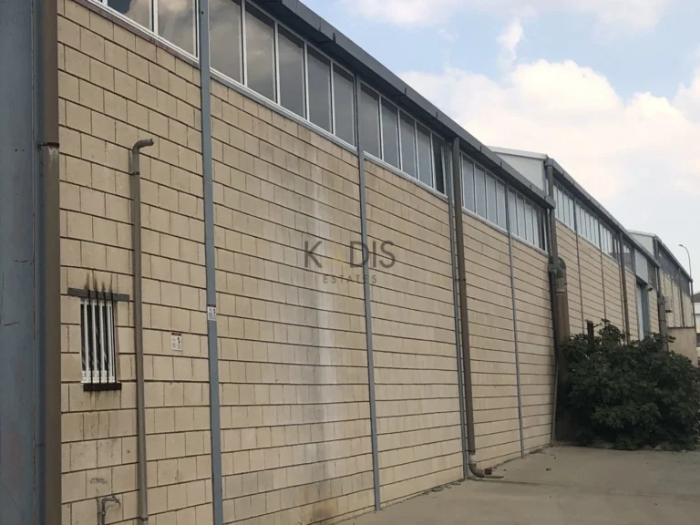 652m² Commercial for Rent in Dali, Nicosia District