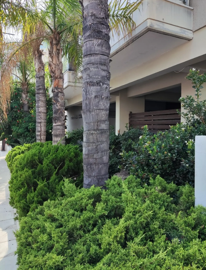 1 Bedroom Apartment for Sale in Limassol – Agia Zoni