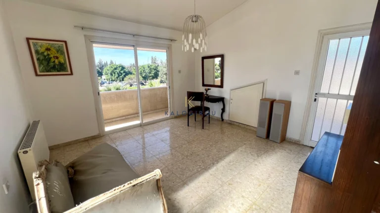 5 Bedroom House for Rent in Larnaca District