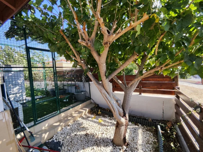 2 Bedroom House for Sale in Parekklisia, Limassol District