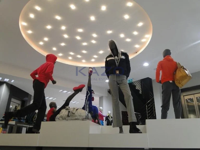 3771m² Building for Rent in Paphos – Agios Theodoros