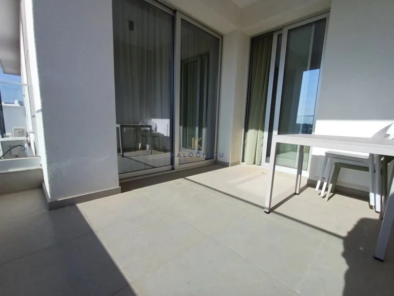 1 Bedroom Apartment for Rent in Larnaca District