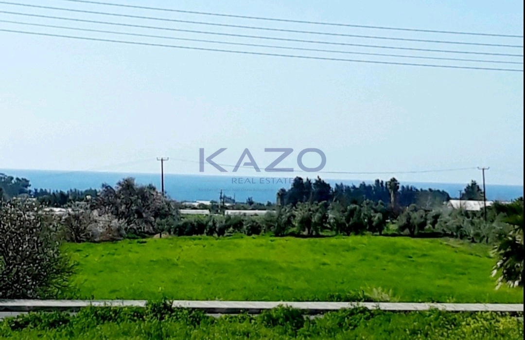 13,378m² Plot for Sale in Timi, Paphos District