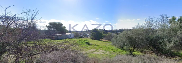 Οικόπεδο 6,386m² προς πώληση στην Πάχνα, Επαρχία Λεμεσού
