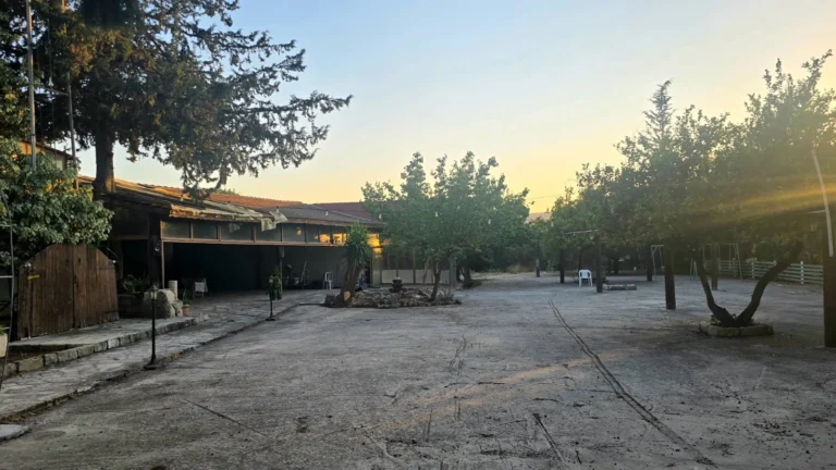 Building for Sale in Palodeia, Limassol District