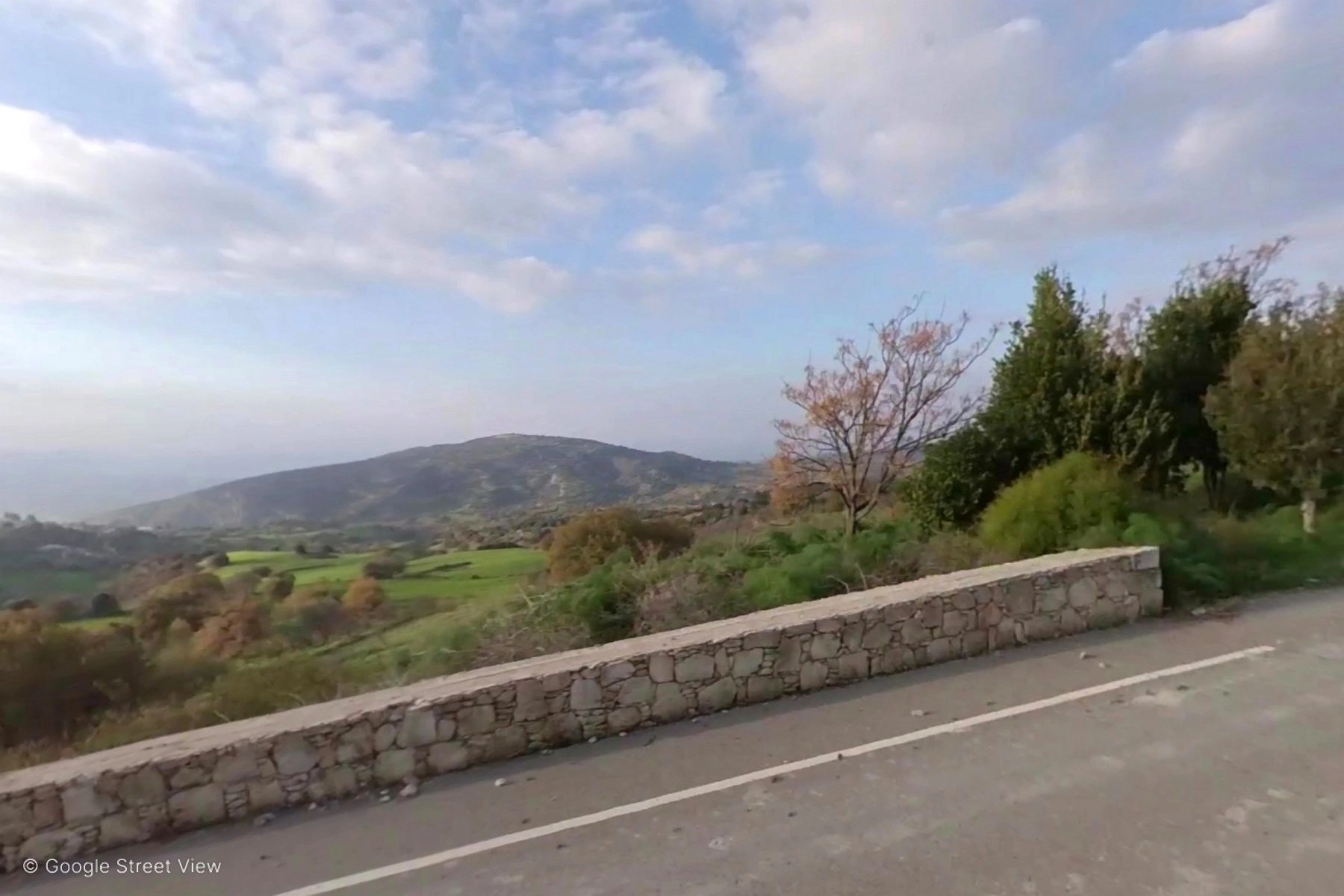 23,000m² Plot for Sale in Meladeia, Paphos District