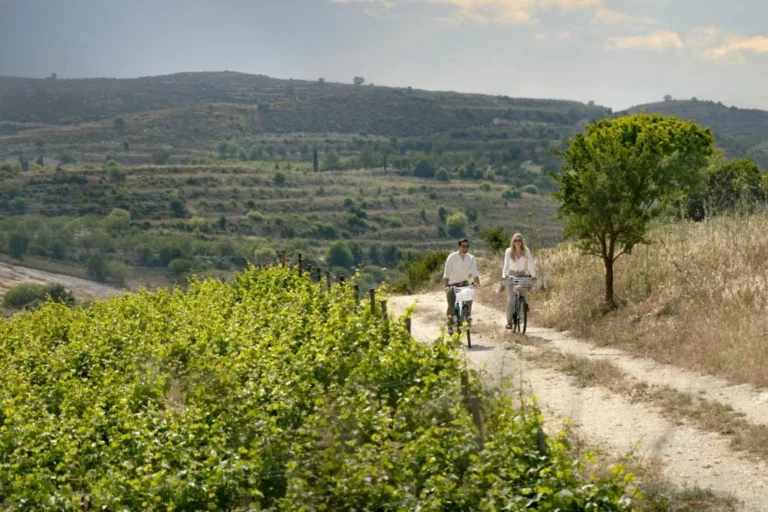 4 Bedroom House for Sale in Tsada, Paphos District