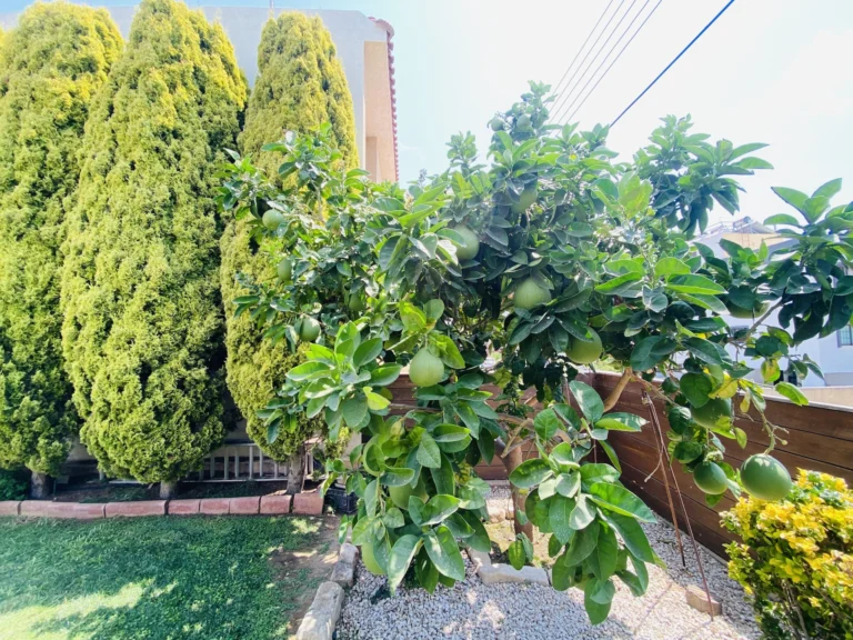 for Sale in Ypsonas, Limassol District