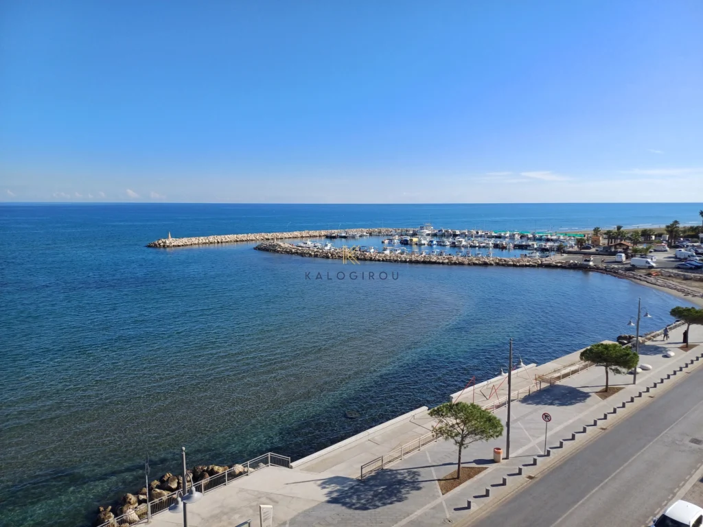 2 Bedroom Apartment for Rent in Larnaca District