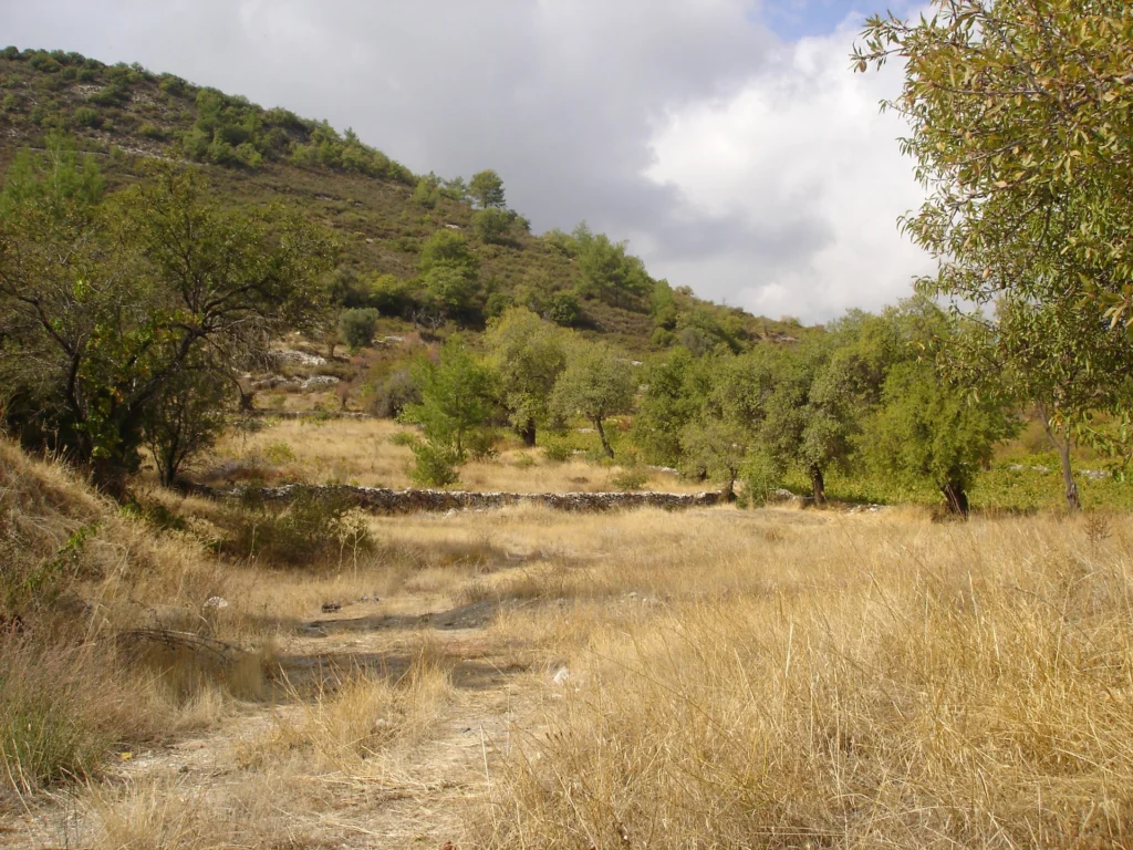 6,523m² Plot for Sale in Pera Pedi, Limassol District