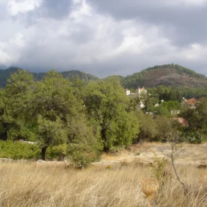 6,523m² Plot for Sale in Pera Pedi, Limassol District