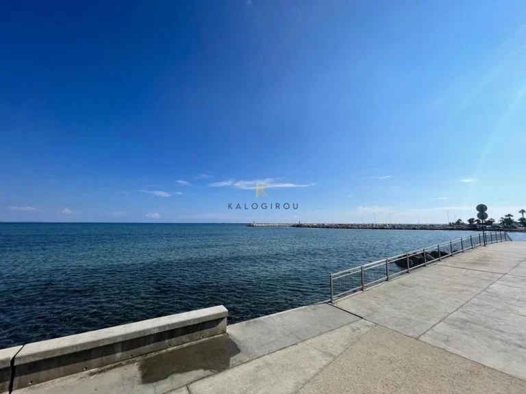 1 Bedroom Apartment for Rent in Larnaca District