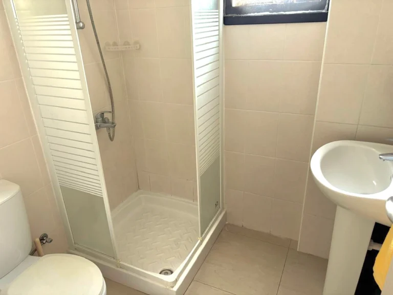 1 Bedroom Apartment for Rent in Limassol District