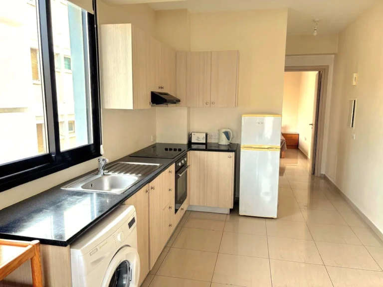 1 Bedroom Apartment for Rent in Limassol District